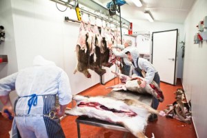 Skinning Room